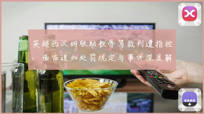 英超西汉姆联助教辱骂裁判遭指控,面临追加处罚规定与事件深度解析