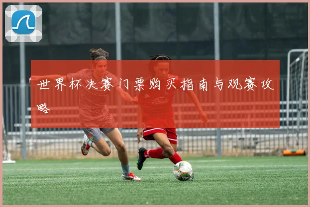 世界杯决赛门票购买指南与观赛攻略