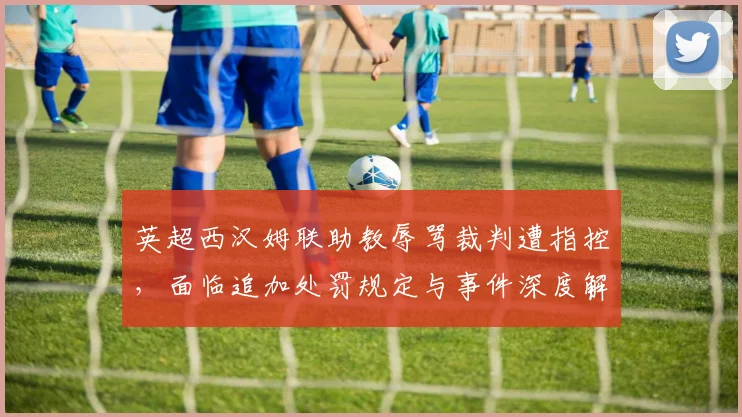 英超西汉姆联助教辱骂裁判遭指控，面临追加处罚规定与事件深度解析